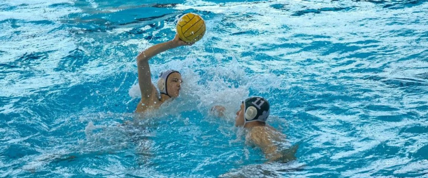 WhatsApp Image 2025-11-03 at 22.00.43